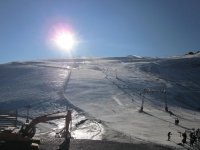 IMG_4974.jpg