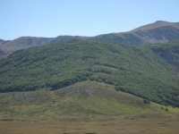 DSCN2578.jpg