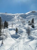 DSCN3130.jpg