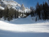 DSCN2479.jpg