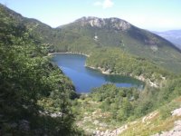 Monte Rondinaio e Giovo, 9, 9 2011 (53).JPG