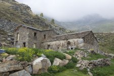 Alpe_Pinalba_001.jpg