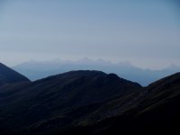 Apuane ed orsaro 9-2011 (24).jpg
