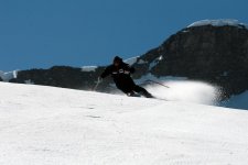 IMG_4011.jpg