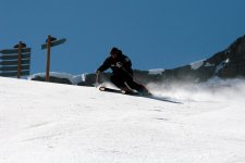IMG_4013.jpg