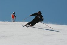IMG_4016.jpg