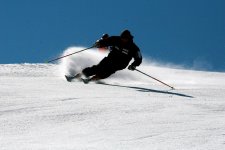 IMG_4017.jpg