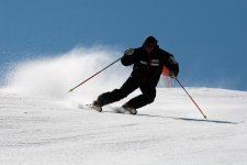 IMG_4019.jpg