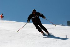 IMG_4022.jpg