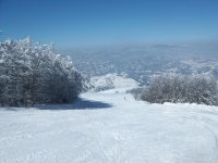 100_2546.jpg
