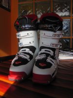 IMG_3833.JPG