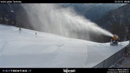 3-7-tarlenta.jpg
