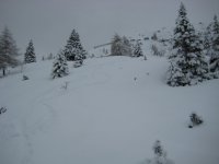 IMG_2600.jpg