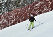 DSC_2754.jpg