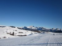 IMG_9079.jpg