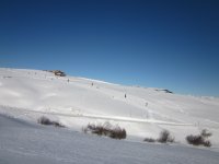 IMG_9080.JPG