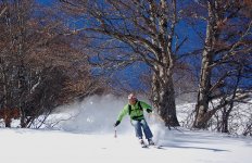 DSC_4356.jpg