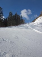 IMG_0498.jpg