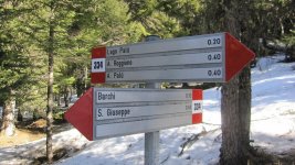 20120311_1124 IMG_1318.jpg