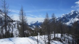 20120311_1347 IMG_1363.jpg