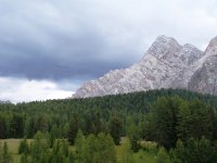 100_9283.JPG