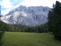 100_9421.JPG