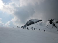 mazzinga-cermis-1.jpg