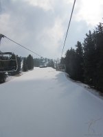 mazzinga-cermis-2.jpg