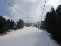 mazzinga-cermis-3.jpg