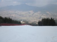mazzinga-cermis-4.jpg