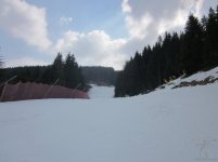 mazzinga-cermis-5.jpg