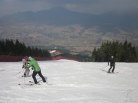 mazzinga-cermis-8.jpg