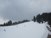 mazzinga-cermis-13.jpg
