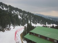 mazzinga-cermis-14.jpg