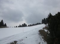 mazzinga-cermis-15.jpg