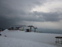 mazzinga-cermis-17.jpg