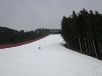 mazzinga-cermis-20.jpg
