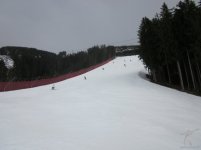 mazzinga-cermis-21.jpg