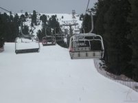 mazzinga-cermis-22.jpg