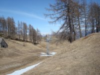 DSC06002.jpg