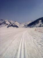 Foto0079.jpg