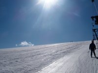 panettone bianco.jpg panettone bianco.jpg
