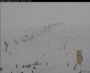 giggijoch06.jpg