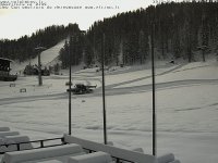 sportinia.jpg
