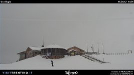 pajon-cermis.jpg