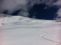 ImageUploadedByTapatalk1334938223.872851.jpg