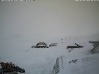 CEWC_AREA_PLANMAISON.jpg