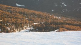 IMG_8392.jpg