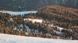 IMG_8393.jpg