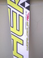 Fischer RC 2010-2011 Modello 175.jpg